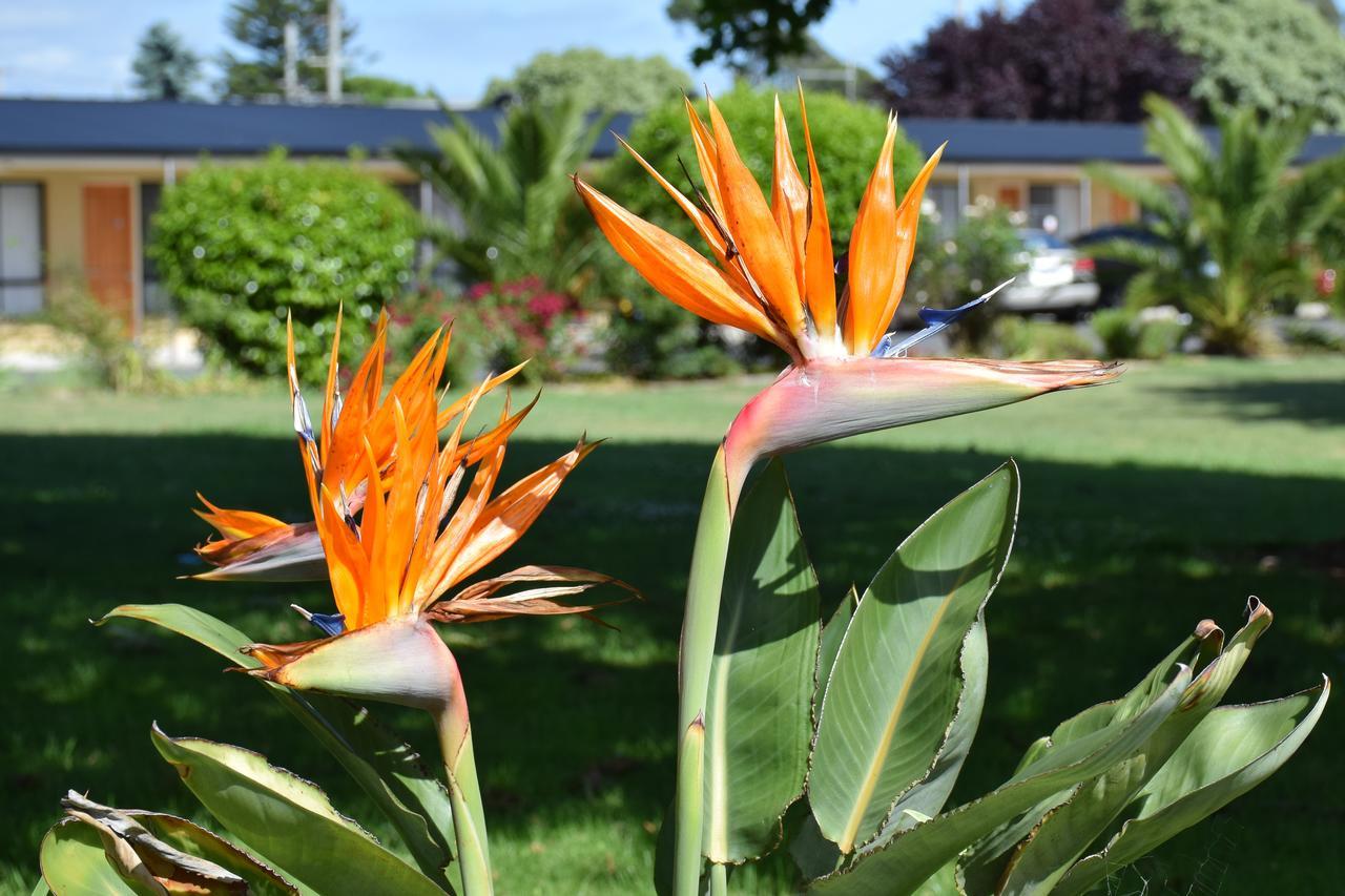 Beachway Motel Ulverstone Kültér fotó